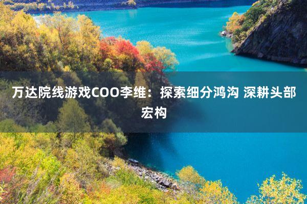 万达院线游戏COO李维：探索细分鸿沟 深耕头部宏构