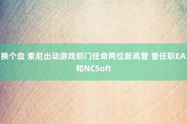 换个血 索尼出动游戏部门任命两位新高管 曾任职EA和NCSoft