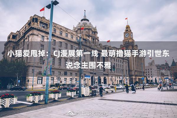 小猫爱甩掉：CJ漫展第一线 最萌撸猫手游引世东说念主围不雅