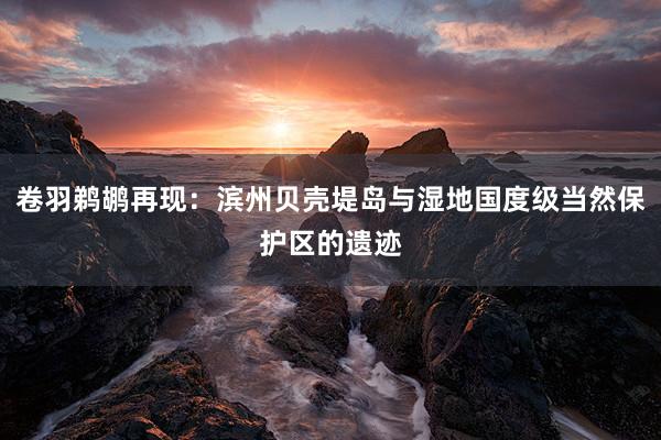 卷羽鹈鹕再现：滨州贝壳堤岛与湿地国度级当然保护区的遗迹