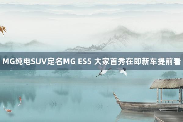 MG纯电SUV定名MG ES5 大家首秀在即新车提前看
