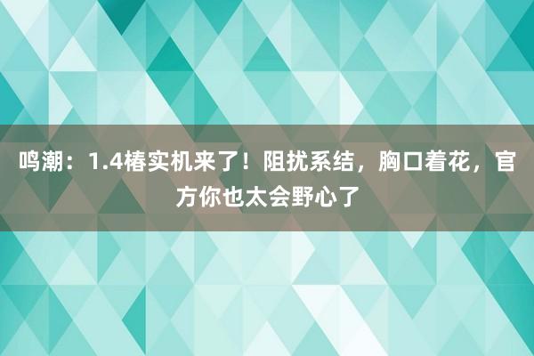 鸣潮：1.4椿实机来了！阻扰系结，胸口着花，官方你也太会野心了