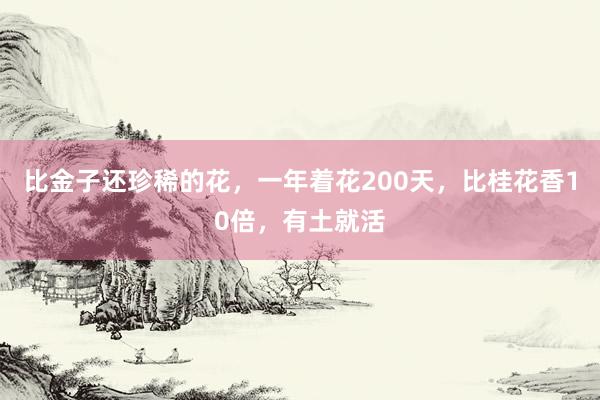 比金子还珍稀的花，一年着花200天，比桂花香10倍，有土就活