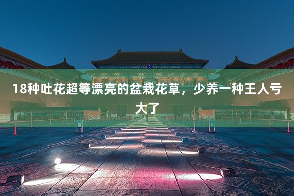 18种吐花超等漂亮的盆栽花草，少养一种王人亏大了